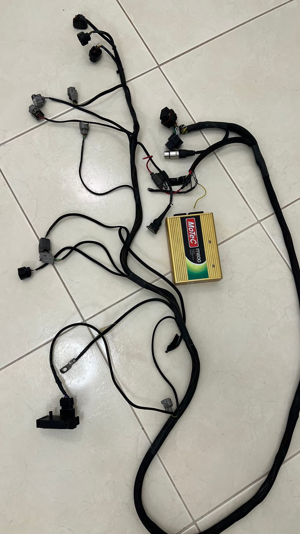 موتك600 