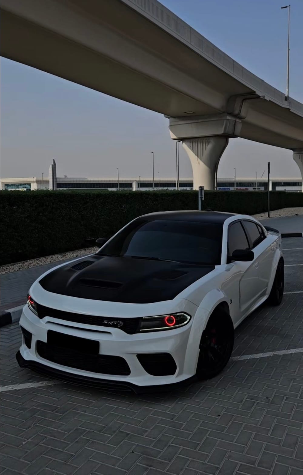 Dodge Charger Scatpack 392. 2019