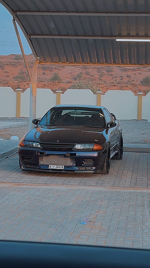 Skyline 